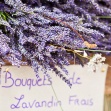 <p>Burgund, Provence & Côte d'Azur</p>